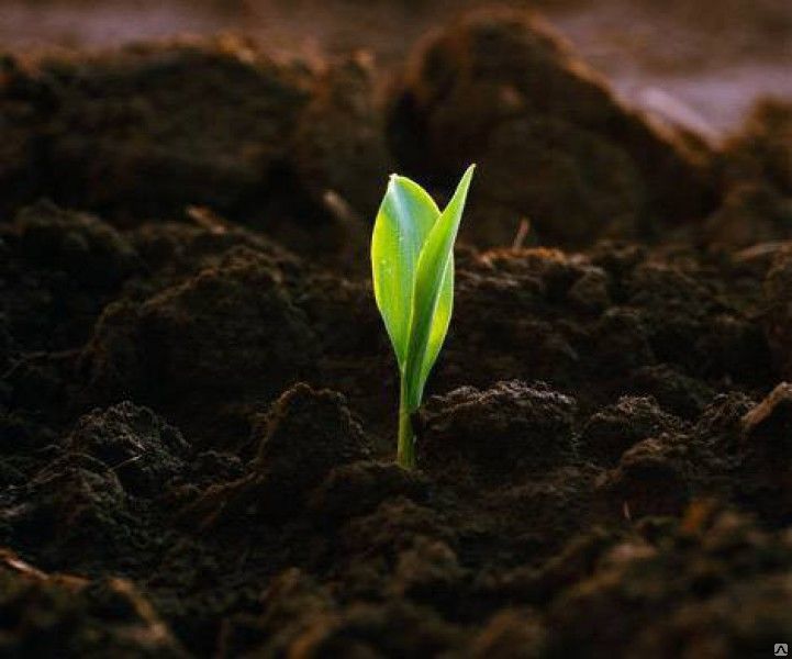 Купить растительный грунт с доставкой в Санкт-Петербург